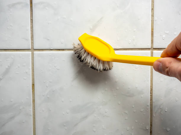 Best Affordable Mold Removal  in Tecumseh, NE