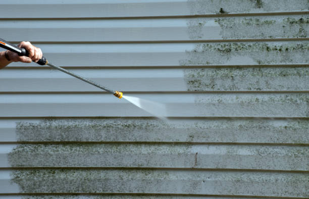 Best Mold Cleaning Services  in Tecumseh, NE
